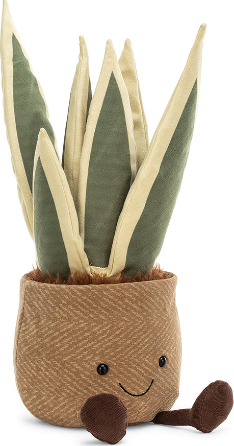 Amuseable Snake Plant